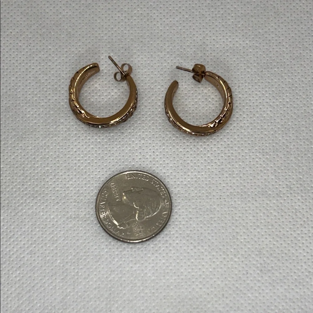 NWOT Rose Gold CZ Double Hoop Earrings By Designer DSMK